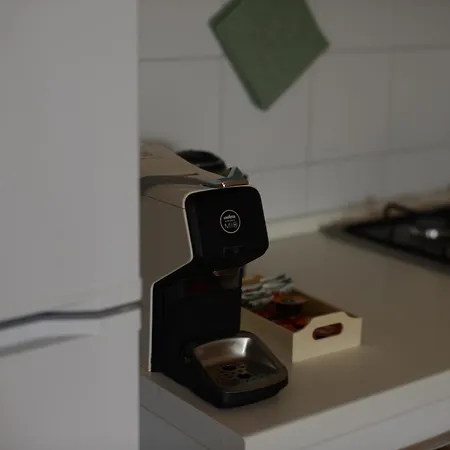 La Fenice * بيرودجا