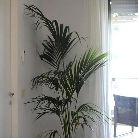 Apartment La Fenice