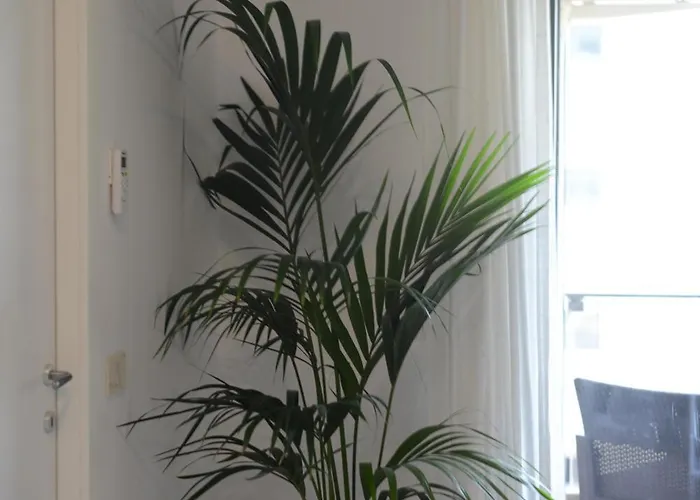 Apartamento La Fenice